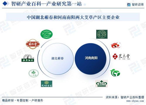 艾草行業(yè)市場動(dòng)態(tài)與投資前景分析 技術(shù)創(chuàng)新驅(qū)動(dòng)下的發(fā)展新機(jī)遇