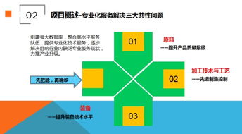 融合創(chuàng)新，智鏈未來(lái)——成功舉辦化塑產(chǎn)業(yè)互聯(lián)網(wǎng)創(chuàng)新與融合峰會(huì)