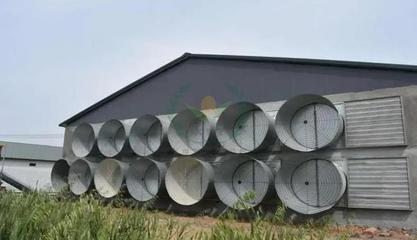 雞舍通風(fēng)機(jī)的維護(hù)保養(yǎng)指南