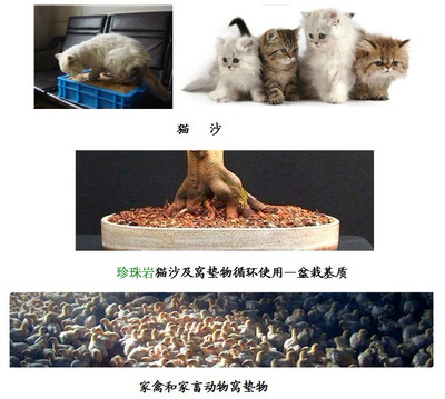 信陽(yáng)市平橋區(qū)天梯珍珠巖礦業(yè) 牲畜飼養(yǎng)中的天然創(chuàng)新應(yīng)用